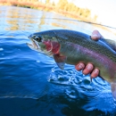 Burnsville Anglers - Fishing Guides