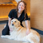 Sploot Veterinary Care - Greenwood Village