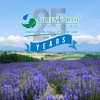 GreenEarth Cleaning gallery
