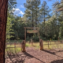 Northwoods Cabins - Lodging