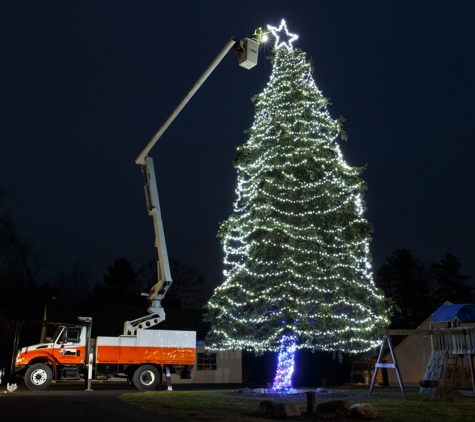 Mountain Tree Service - Somers, CT