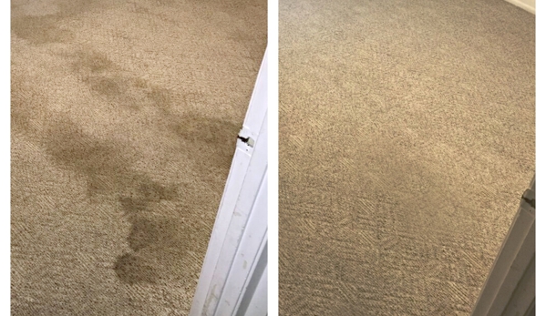 Beyer Carpet Cleaning - San Antonio, TX