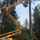 Spokane Tree Pro - Tree Service