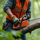 Cheap Charlie's Tree Service - Tree Service