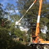 Copiah Tree Service gallery