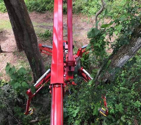 Duffey Tree Care - Brandon, FL