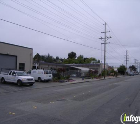 Cologne Auto Body - Belmont, CA