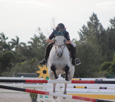 Seacrest Show Stables - Mooresboro, NC. Show Jumpers for sale