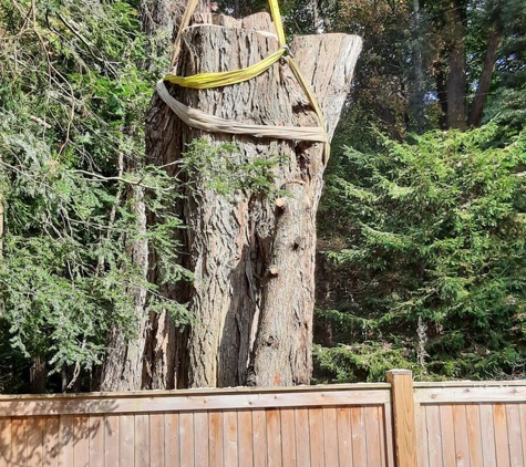 Bob's Tree Services - Southbury, CT