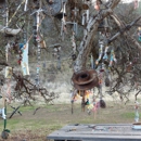 Wilbur Hot Springs - Tourist Information & Attractions