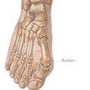 Lion, Rosemarie - Physical Therapists
