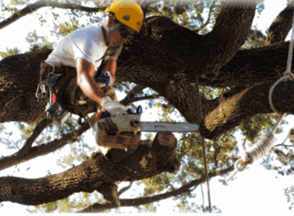 B&D Tree Service - Boerne, TX