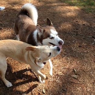 Rabbit Hill Park - Dacula, GA