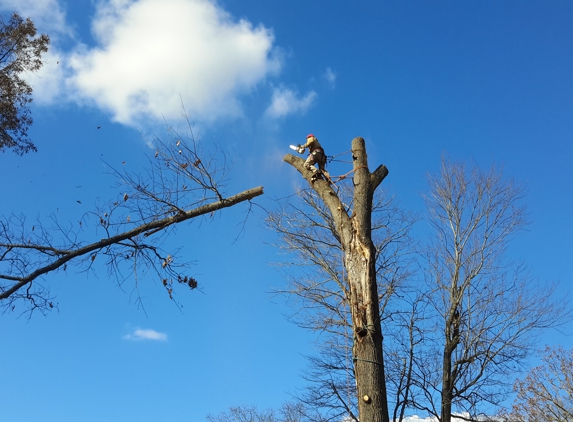 Superior Tree And Landscape - Morristown, TN