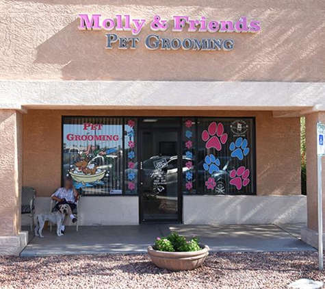 Molly Friends Pet Grooming - Surprise, AZ