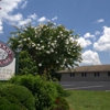 Dogwood Dental Care gallery