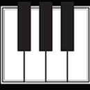The Piano Studio - Pianos & Organs