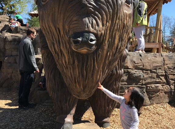 Bison’s Bluff - Schaumburg, IL