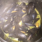 Mussels & More