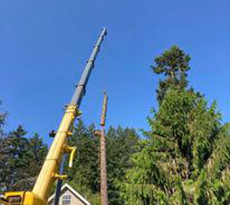 Advanced Tree Management - Sweet Home, OR