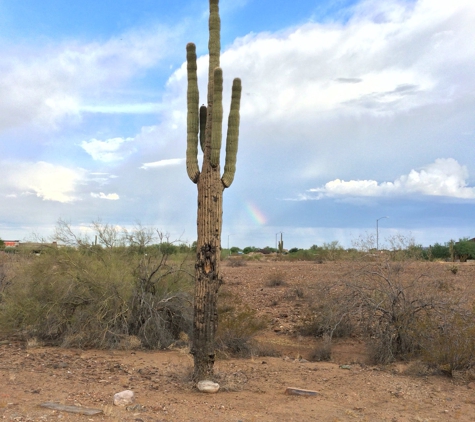 Bluegreen Vacations Cibola Vista Resort and Spa, an Ascend Resort - Peoria, AZ