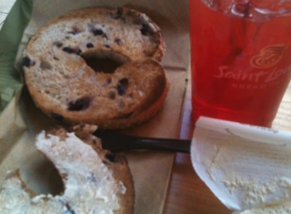 Panera Bread - Saint Louis, MO