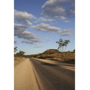 Gallery Image Number 5