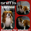 Sniffy's Dog Salon - Pet Services