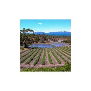 Kates Berry Farm - Swansea, TAS