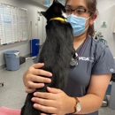 VCA Crocker Animal Hospital - Veterinary Clinics & Hospitals
