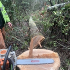 A.B. Land & Tree Service