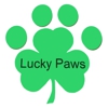 Lucky Paws Pet Boutique, L.L.C. gallery