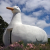 Long Island Duck Farming Museum at Big Duck Ranch gallery