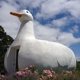 Long Island Duck Farming Museum at Big Duck Ranch