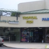 Encinitas Tropical Fish - CLOSED gallery