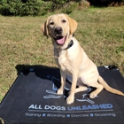 All Dogs Unleashed Dog Training Denver