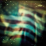 Photo #11