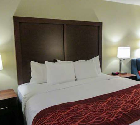 Comfort Inn & Suites Amish Country - Gap, PA