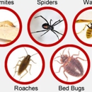United Exterminators - Pest Control Services