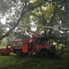 Hagan & Sons Tree Service gallery