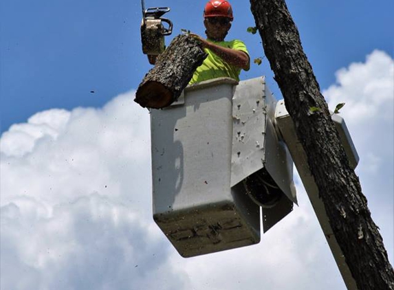 Tree Care Specialists - Strongsville, OH