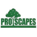 Pro Scapes - Tree Service