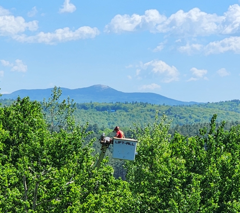 Oakes Tree Service & Rubish Removal