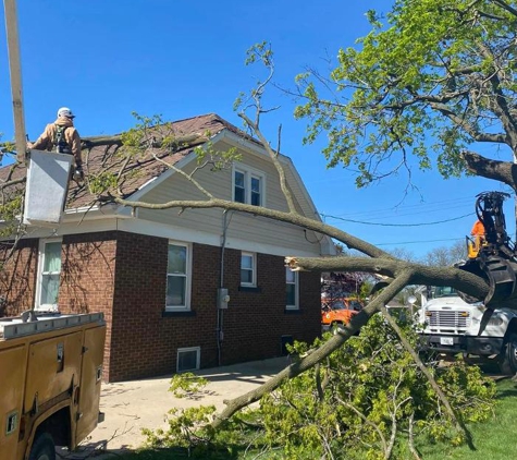 Plue's Tree Service