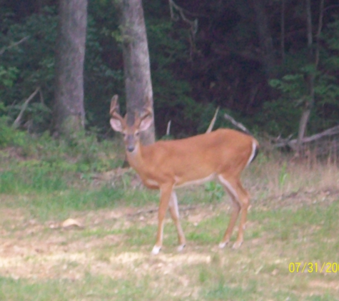 Timber Creek Taxidermy - Warrenton, MO