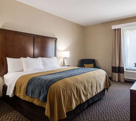 Comfort Inn & Conference Center - Edwardsville, IL