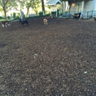 William S Hart Park & Off Leash Dog Park