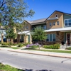 Maldonado Nursery and Landscaping gallery