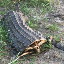 Schroeder-Manatee Ranch - Ranches