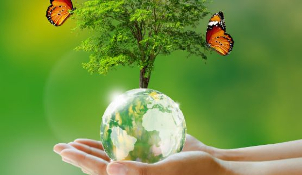 Hope and Resilience Counselling - Turvey Park, NSW